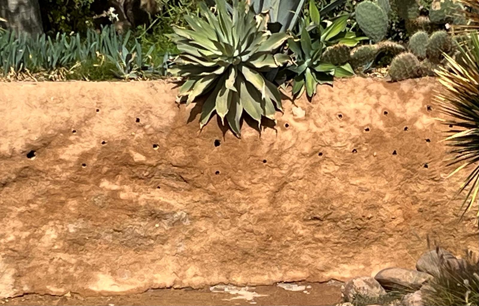 PHOTO-2025-09-18-10-48-14