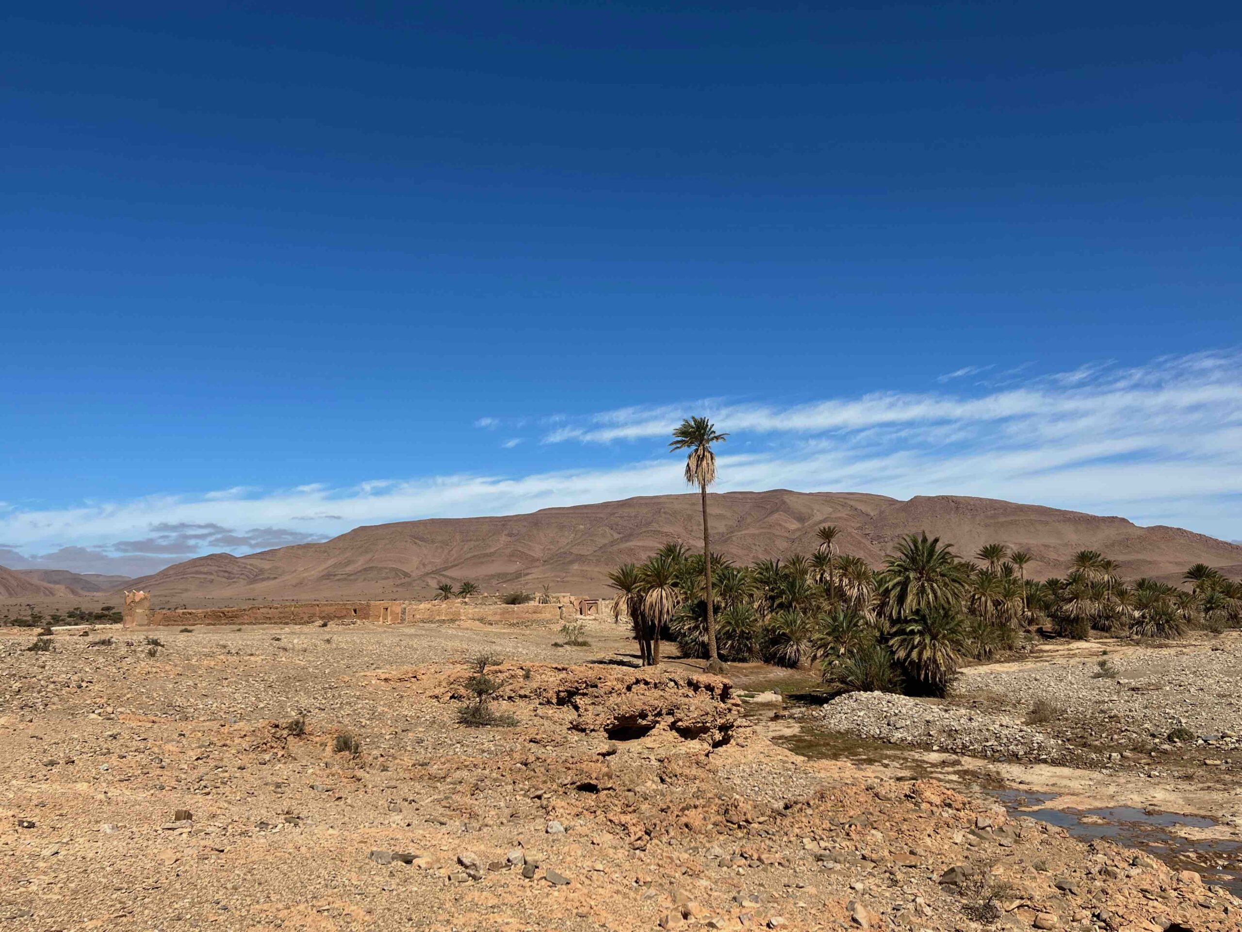 2022_03_22_aouinet_torkoz_8